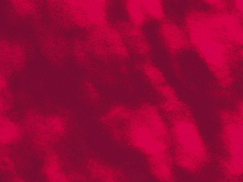 Plain 5798P