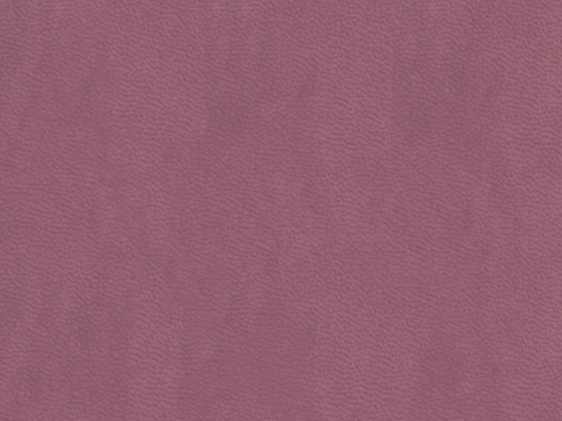 SyNT3 Vivella A186
