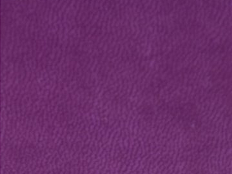 SyNT3 Vivella E480