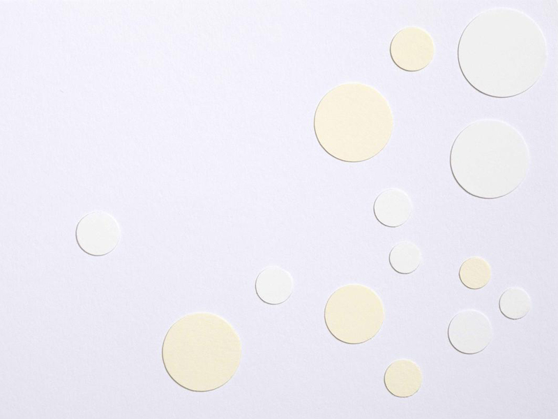 Fedrigoni Arena