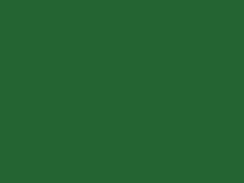 Clariana Color Plus Verde Navidad Clariana Color Plus Verde Navidad