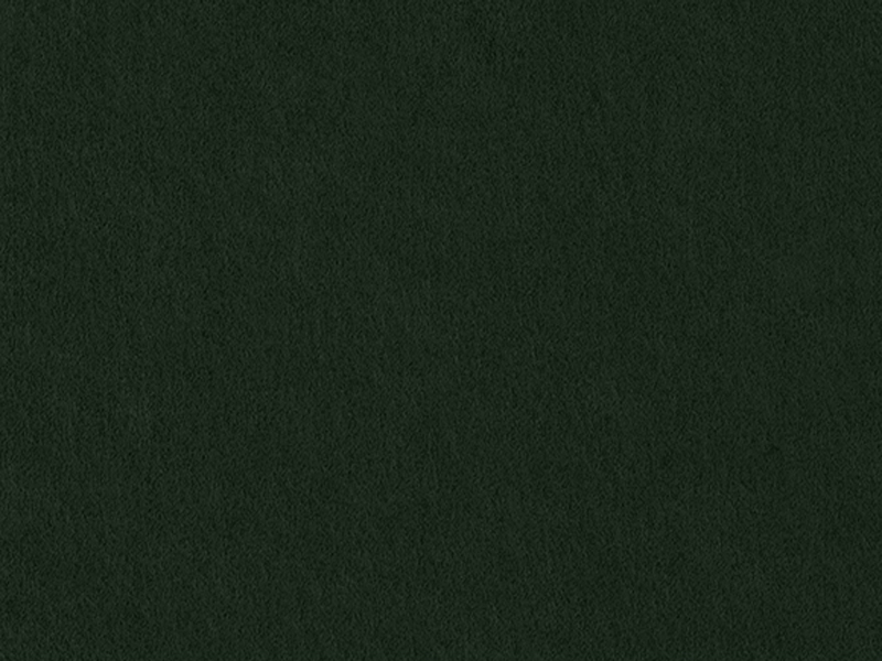 GF Smith Colorplan Racing Green GF Smith Colorplan Racing Green